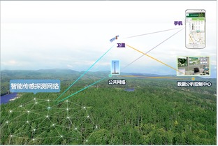 物联网 技术研发与行业应用的双轮驱动
