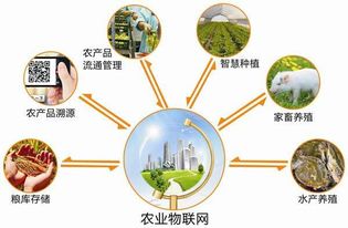 2017安徽农业物联网展会 推动物联网技术研发与农业现代化